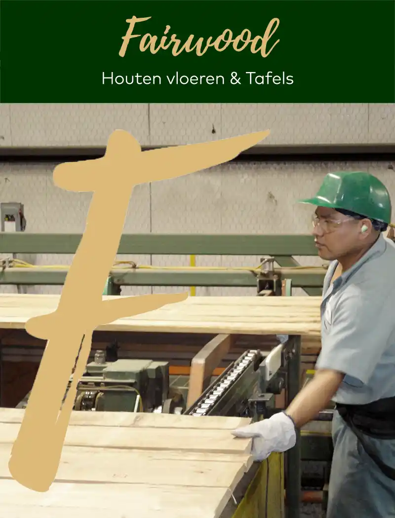hout werkt-voorfoto Werking van hout