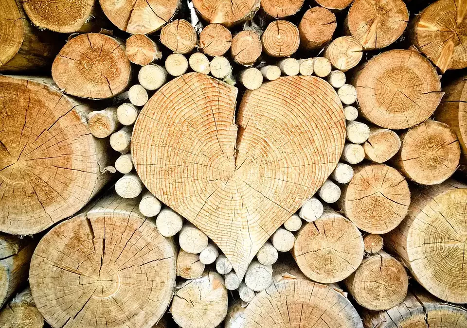 Hoe kun je je huis inrichten met hout?